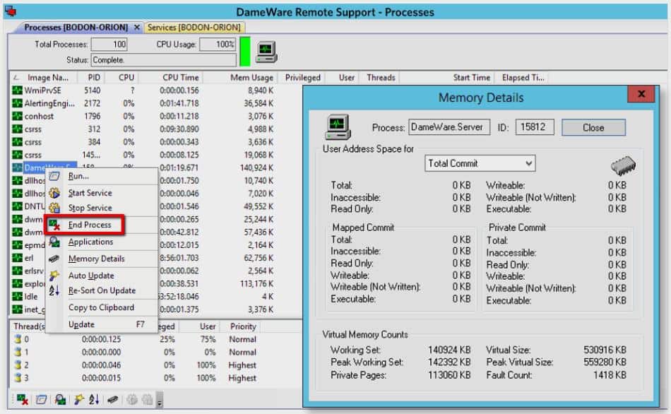 SolarWinds Dameware Remote Support - Processes