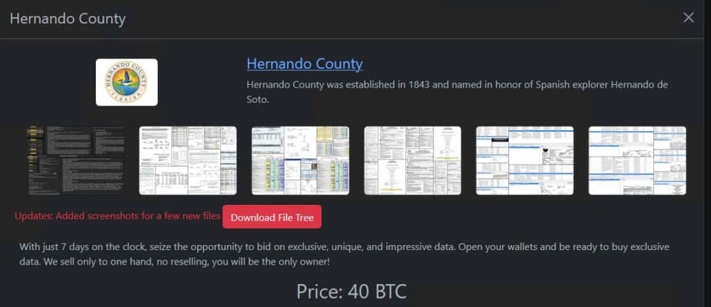 Hernando County ransomware