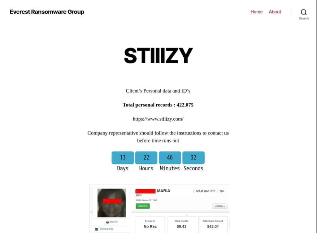 stiiizry ransomware